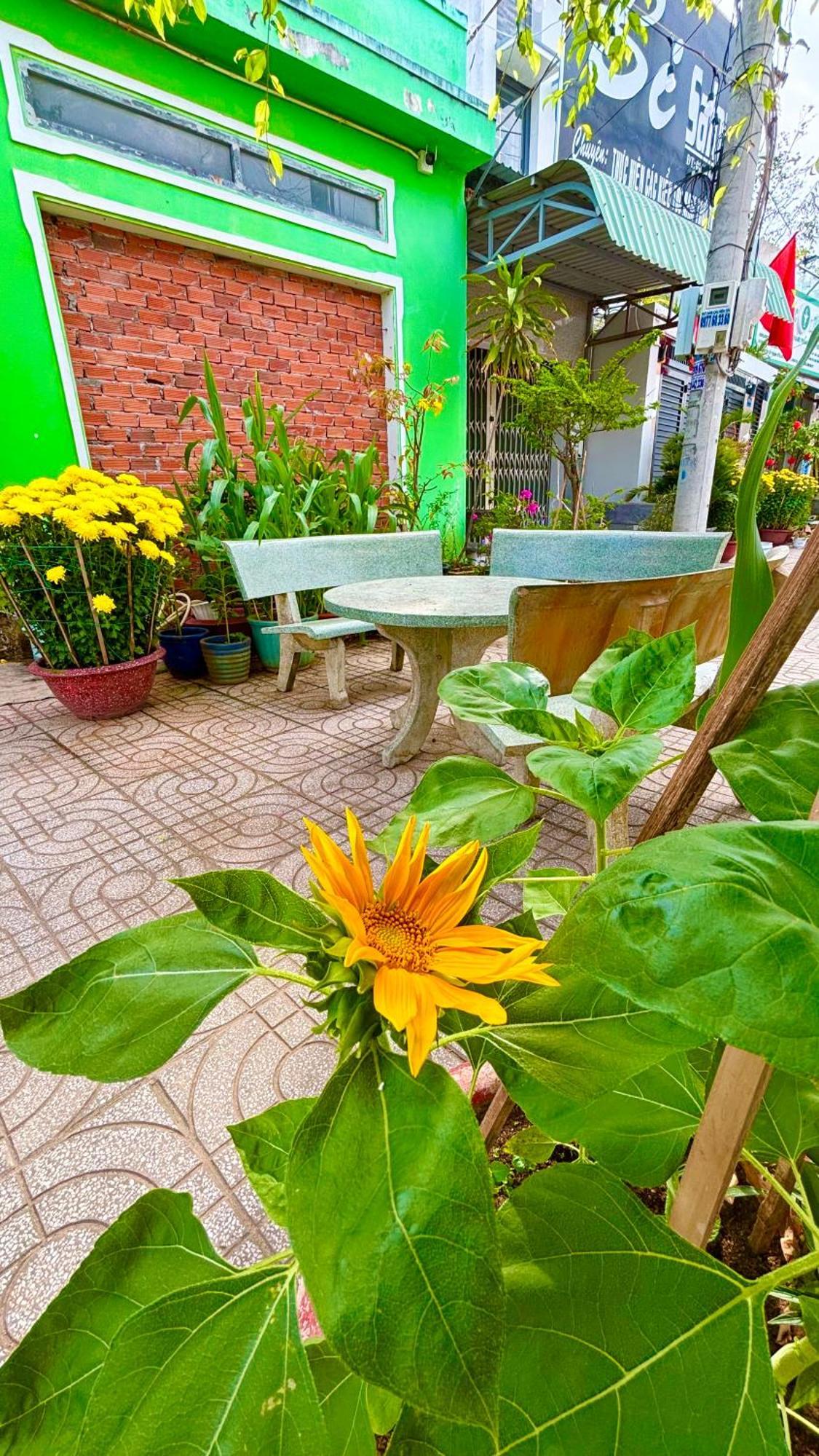 Thuy Hang Motel Long Hai Exterior photo
